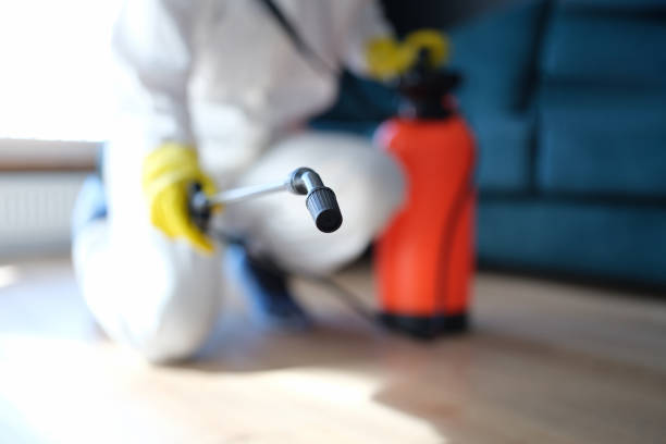 Mold Documentation for Insurance Claims in Avondale Estates, GA