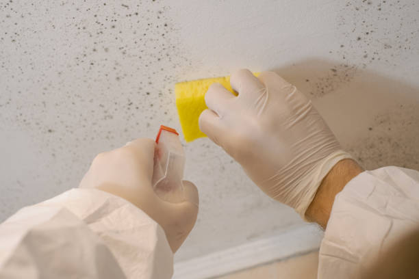 Best Crawl Space Mold Remediation  in Avondale Estates, GA