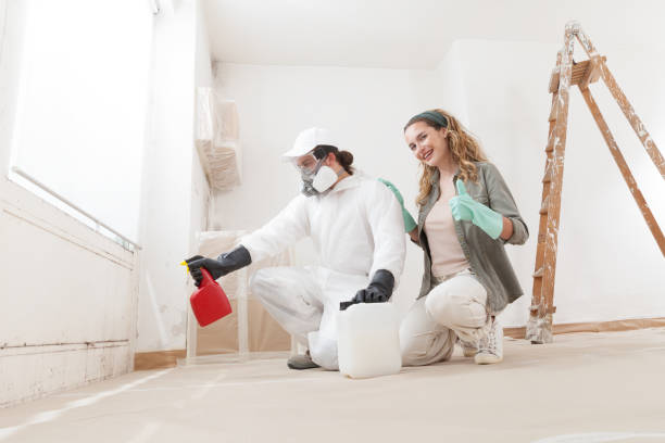 Best Mold Odor Removal Services  in Avondale Estates, GA