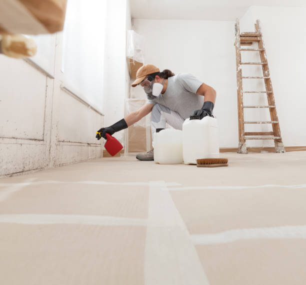 Best Asbestos and Lead Testing During Mold Inspection  in Avondale Estates, GA